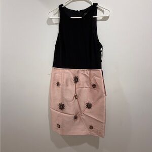 Adrianna Papell Black and Pink jeweled Dress